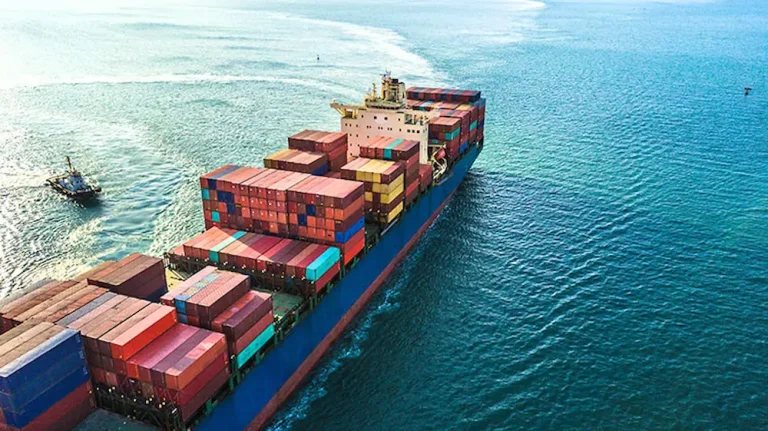 Tipos de contenedores guía para elegir el adecuado